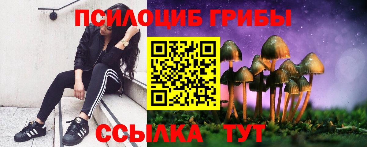 Псилоцибиновые грибы мицелий Краснознаменск