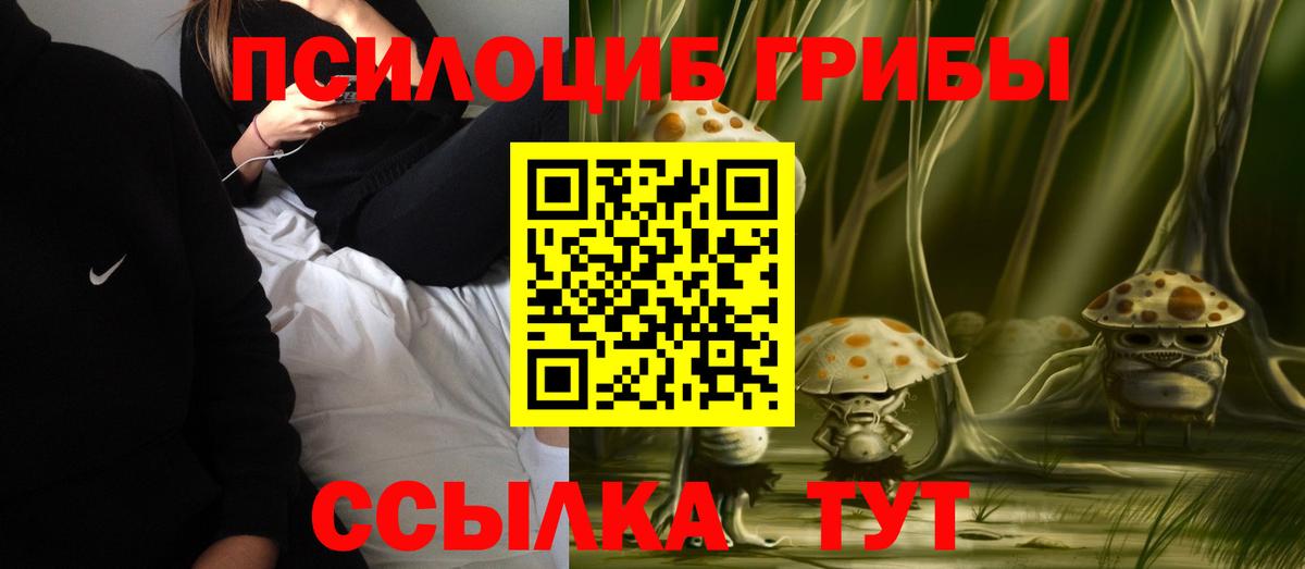 Псилоцибиновые грибы Psilocybine cubensis  Псилоцибиновые грибы Psilocybine cubensis  Краснознаменск  Вход с VPN 